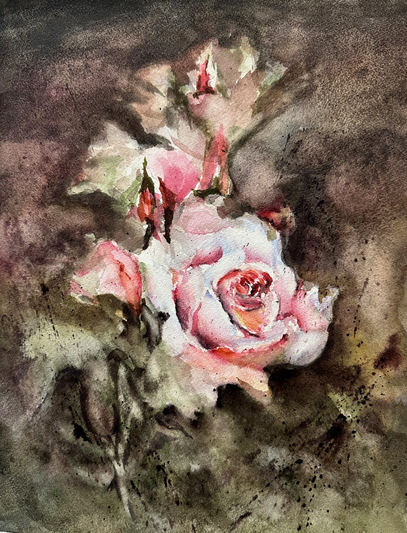https://0201.nccdn.net/1_2/000/000/108/1f9/roses-jpg.jpg