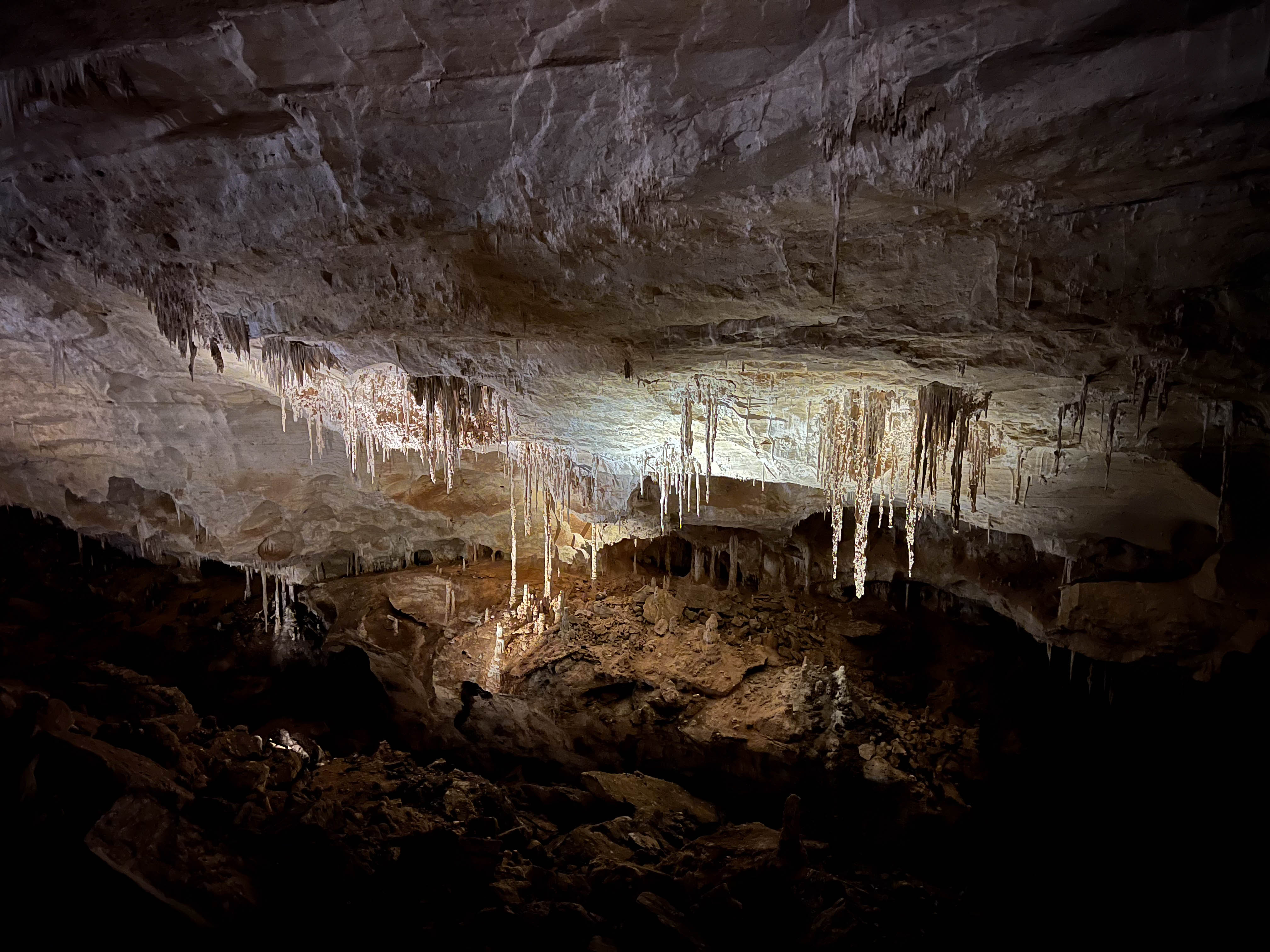 Daddy stoppee at Carlsbad Caverns National Park