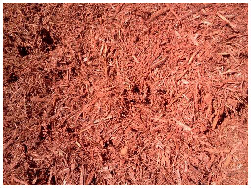 Red mulch||||