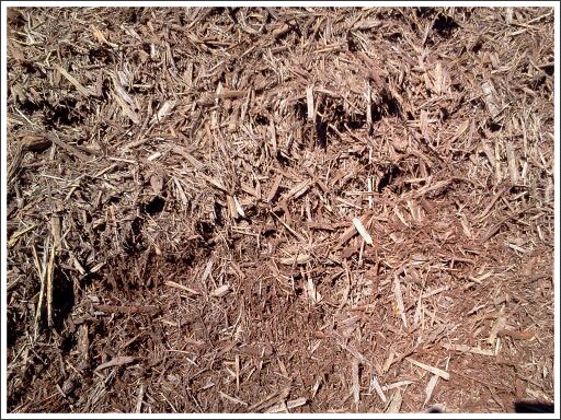 Brown mulch||||