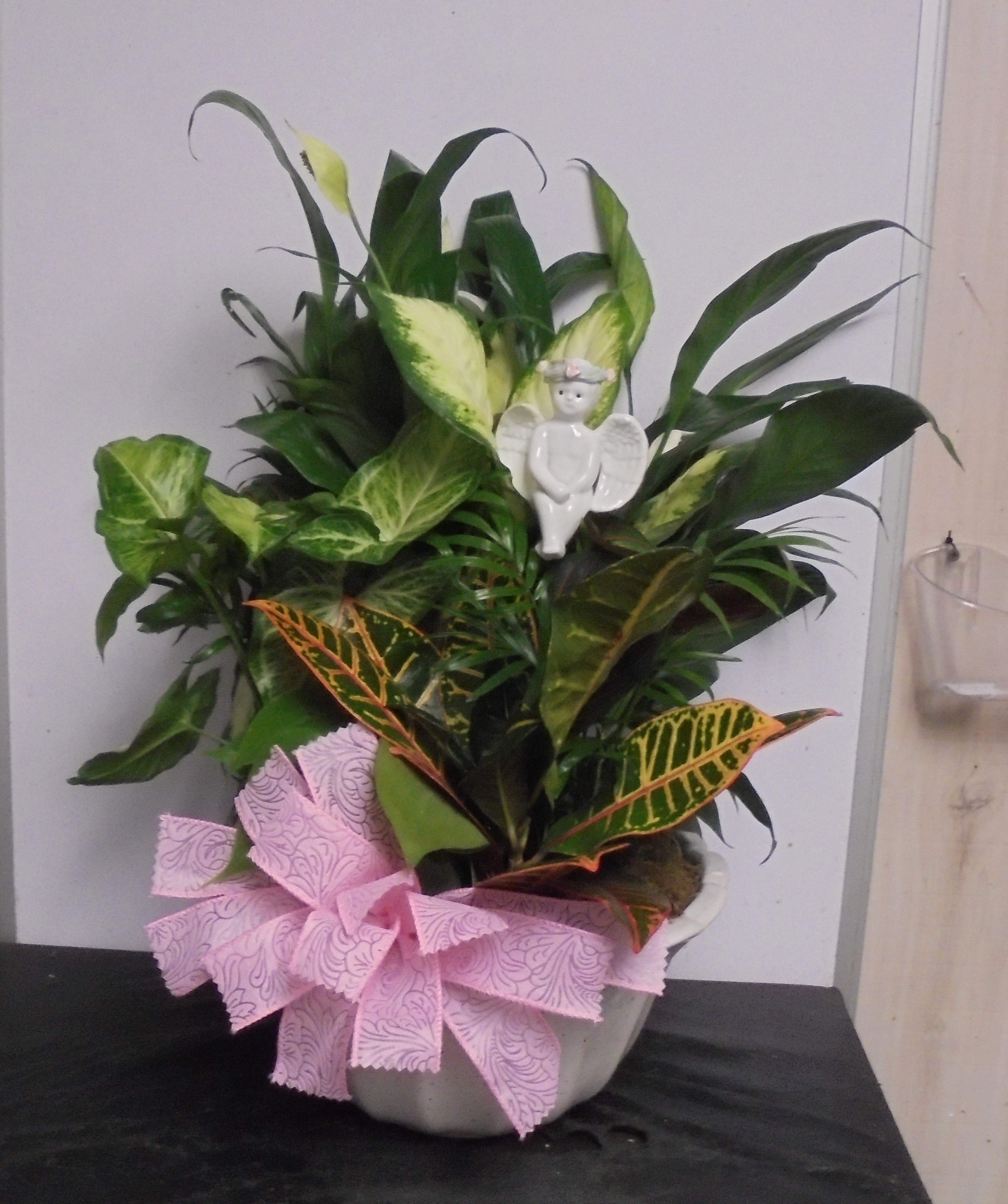 (SORRY OUT OF STOCK!!)
(9) Dish-Garden Plant (Metal)
W/ Angel
$100.00