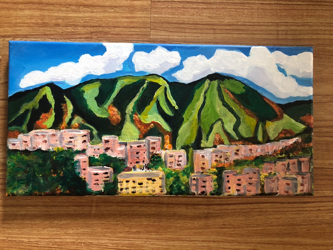 Caracas Venezuela La Avila