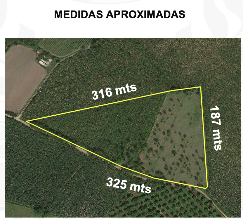 https://0201.nccdn.net/1_2/000/000/108/7b8/captura-de-pantalla-2026-06-08-a-la-s--12.22.08%E2%80%AFp.m..png
