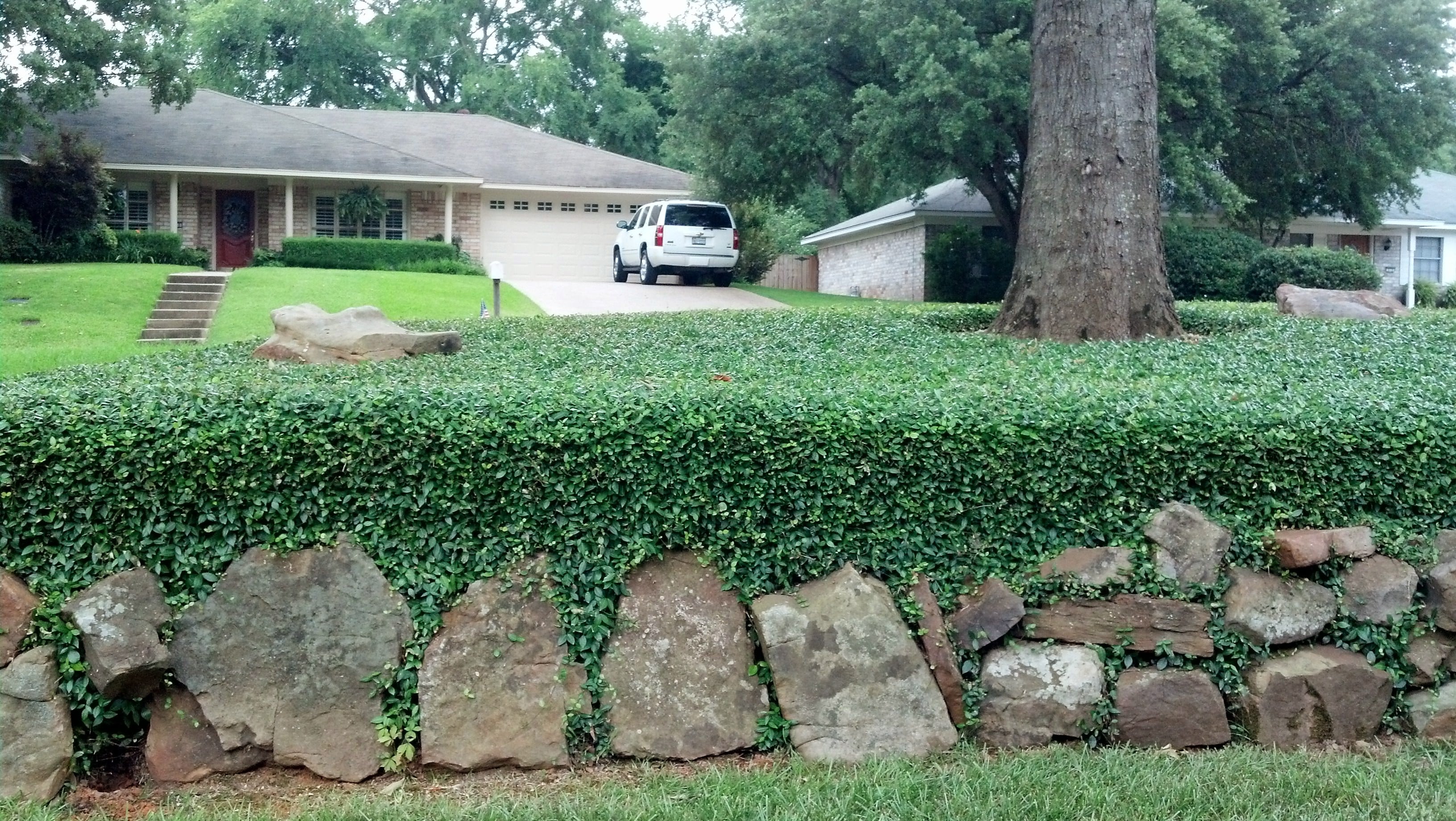 Eye-Catching Landscape Design