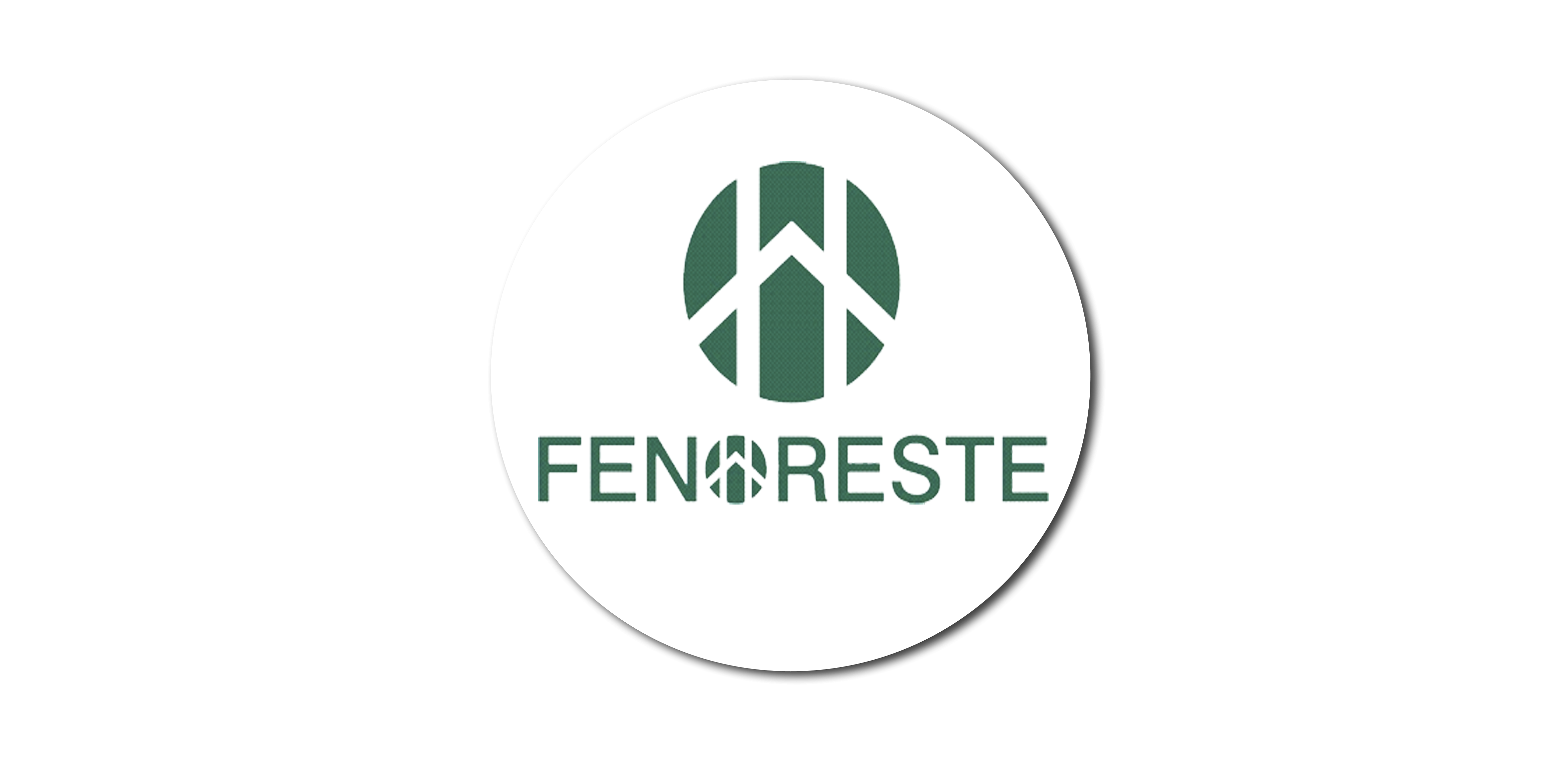 https://0201.nccdn.net/1_2/000/000/108/b57/fenoreste-4724x2362.png