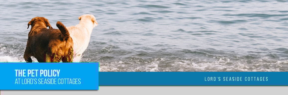 Pet Friendly Cottages In Pei Pet Policy