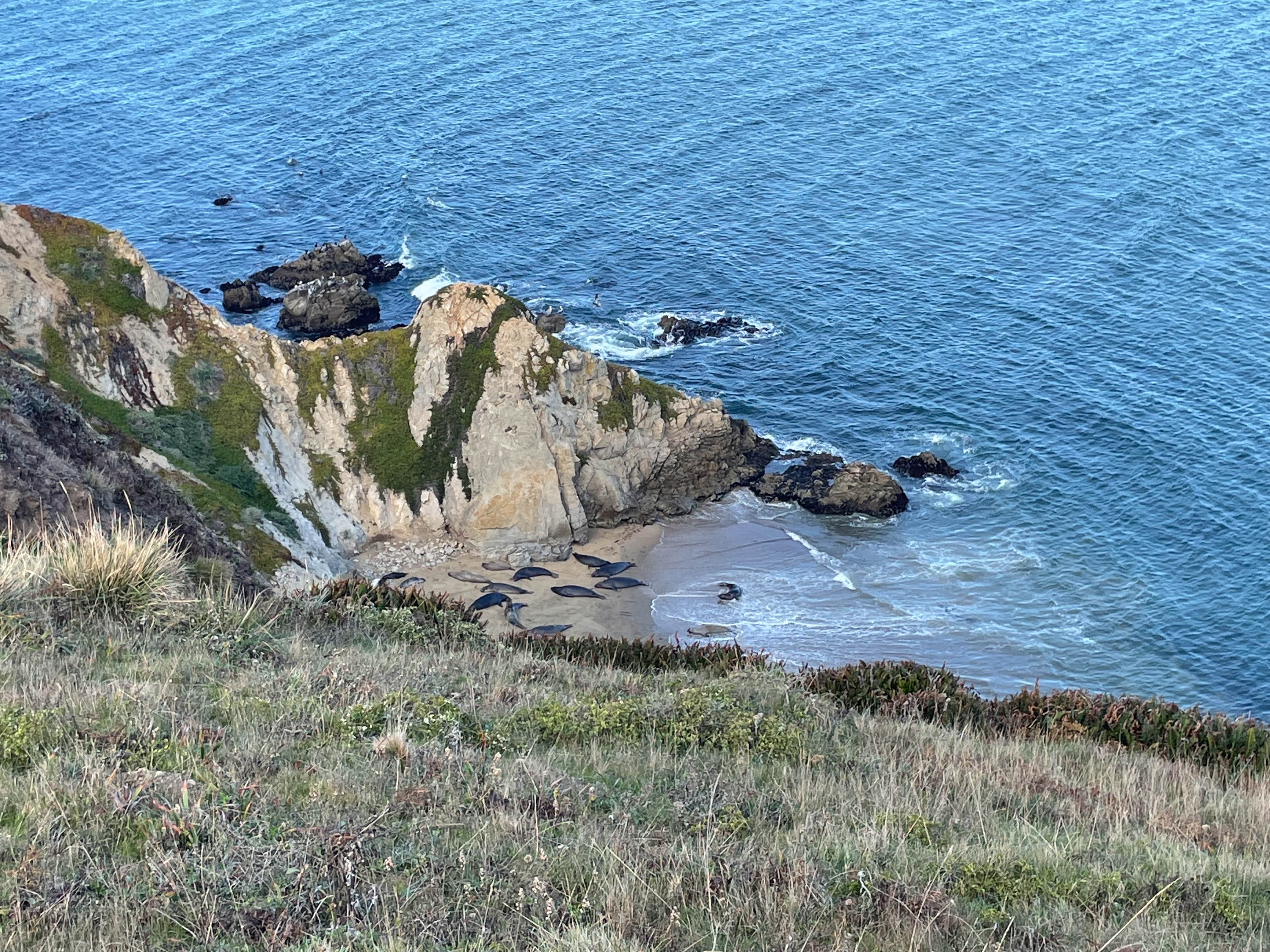 https://0201.nccdn.net/1_2/000/000/108/e36/san-fran-order-2-131.jpg
