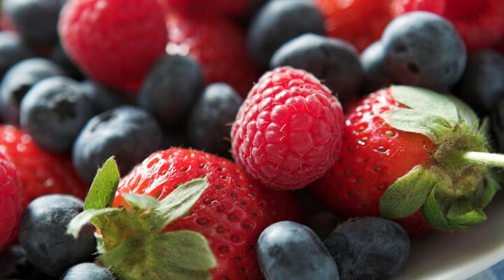 Grupo Zaqui S.P.R. de R.L. - BERRIES