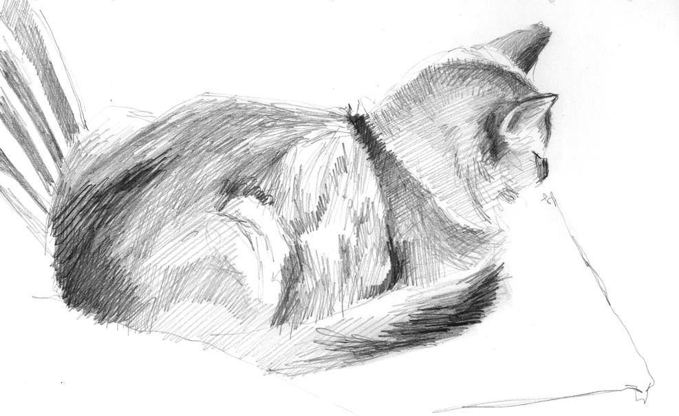 Catnapping #8 (Pencil)