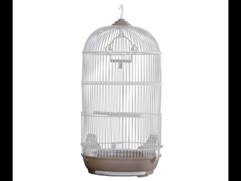 SP-2824 JAULA AVES AVI BOX 
IMPORTADA TIPO CILINDRO 
MONTE VERDE 33X70