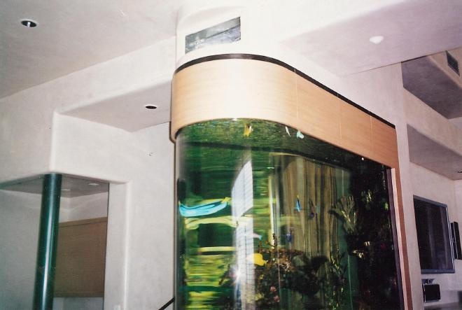 Custom Aquariums