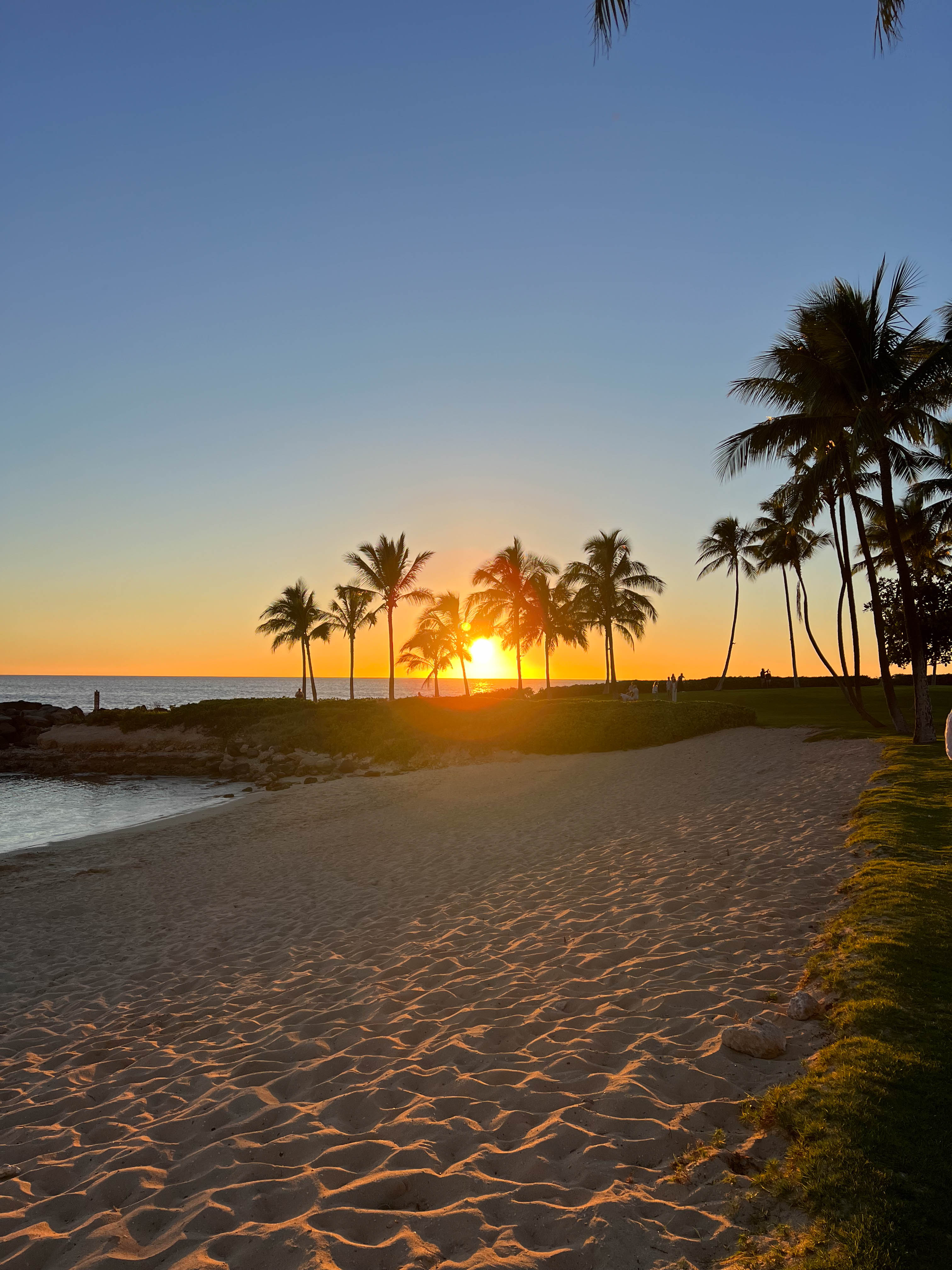 https://0201.nccdn.net/1_2/000/000/109/94d/hawaii-order-27.jpg