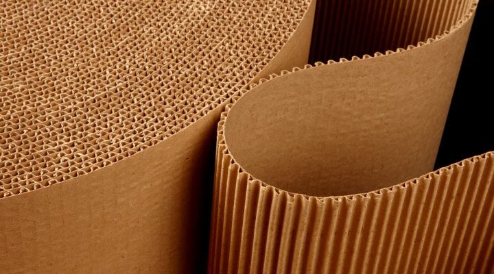 GALPON EMPAQUES S.A. DE C.V. - CARTON