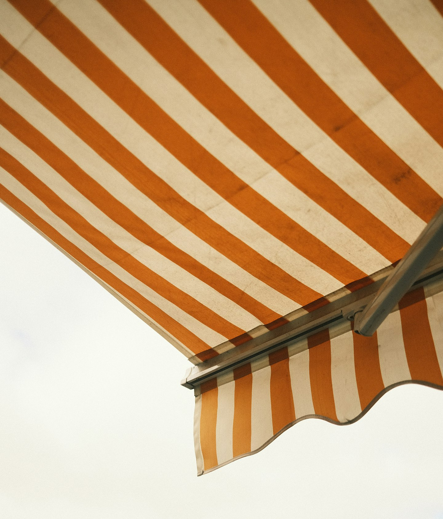 Terraza elegante de un edificio moderno con mesas y sillas, rodeada de árboles y vegetación.
