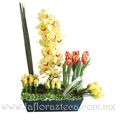 MD - 145  $2,690
Tulipanes en dos tonalidades,orquídeas cymbidium y rosas