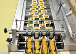 INDUSTRIA ALIMENTICIA