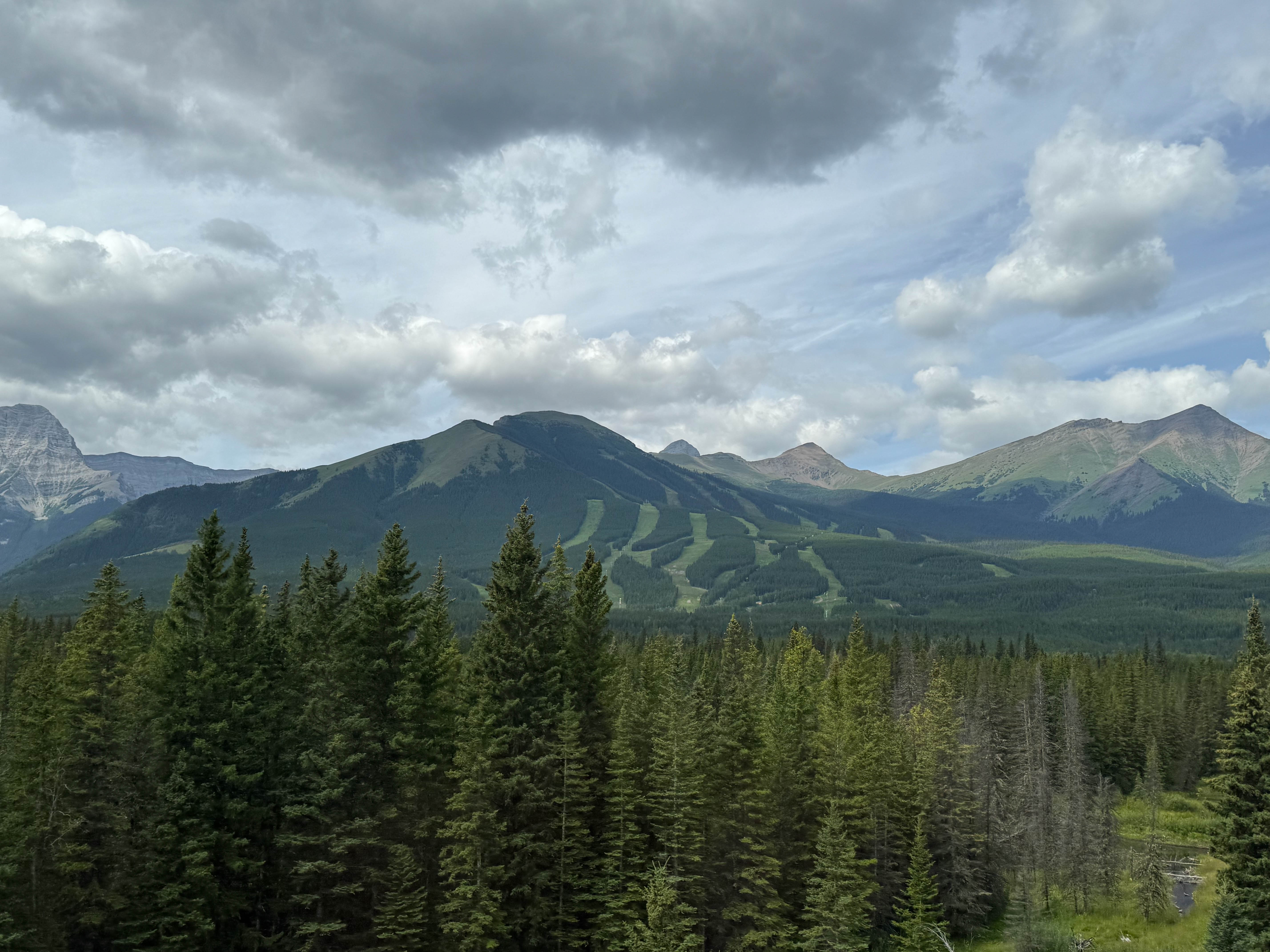 https://0201.nccdn.net/1_2/000/000/10a/b84/calgary-order-150.jpg