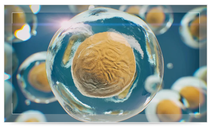 A close up of a yellow cell A close up of a yellow cell