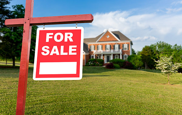 Lands For Sale Sulphur Springs Property Listing