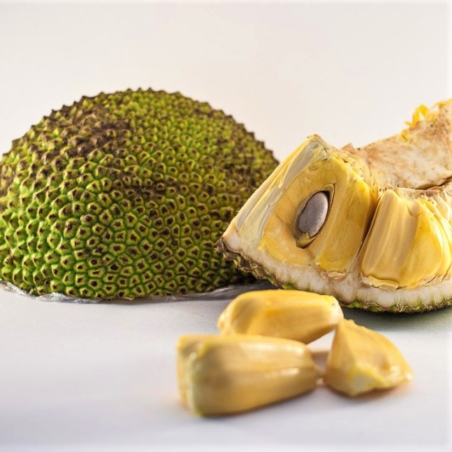 https://0201.nccdn.net/1_2/000/000/10b/504/jackfruit-seeds.jpg
