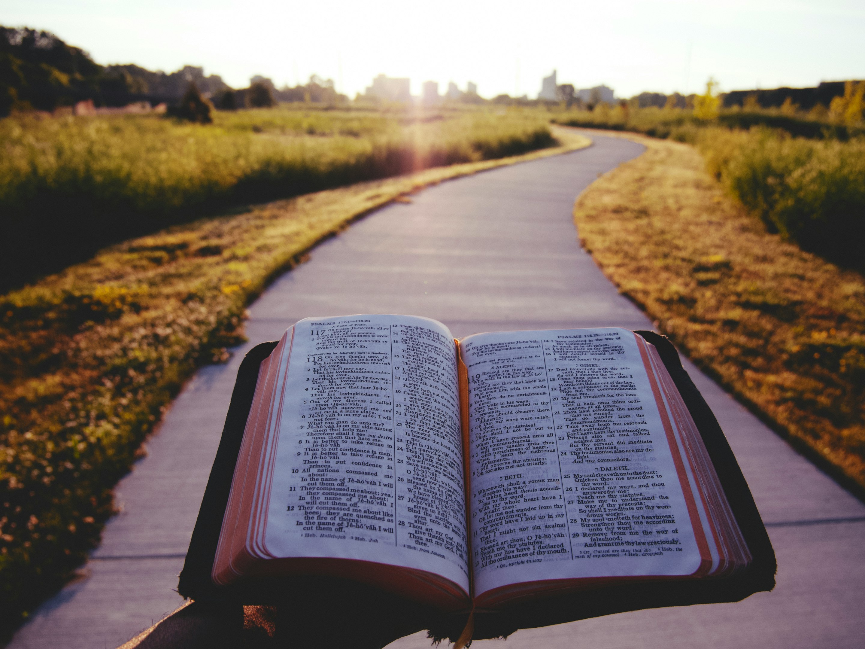 bible, journey, walking, path, scripture