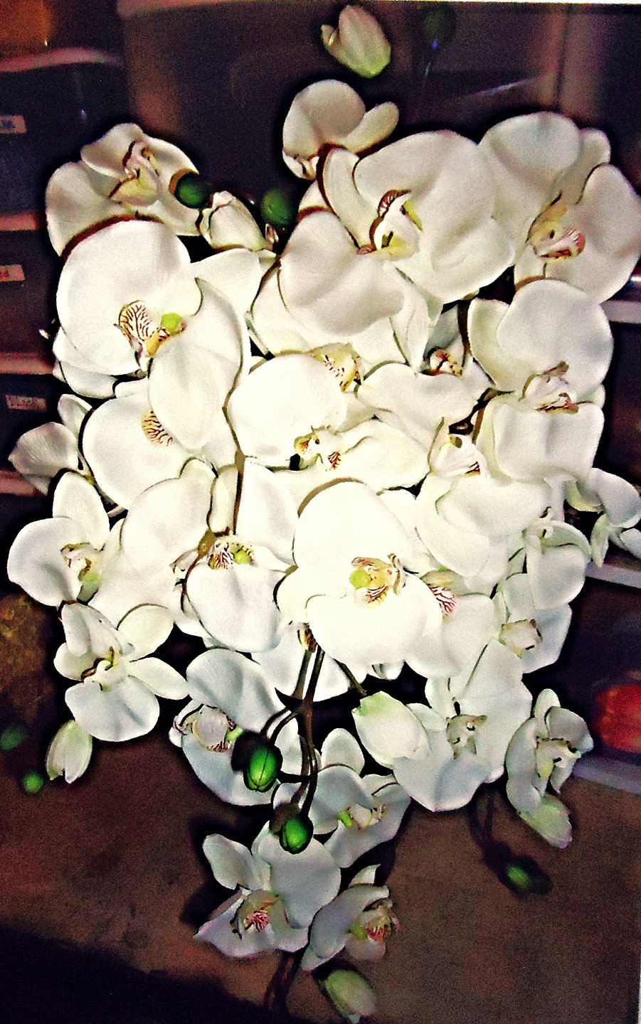 &quot;SILK&quot;  Cascading Bouquet
(White Orchids)
     $150.00