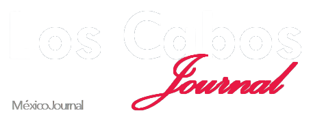 "La consultoría de marketing llevó nuestra página web al siguiente nivel. Su enfoque a la vez estratégico y creativo mejoró nuestra presencia en línea, atrayendo más lectores y clientes. ¡Estamos encantados con los resultados!"

Adrián Cruz