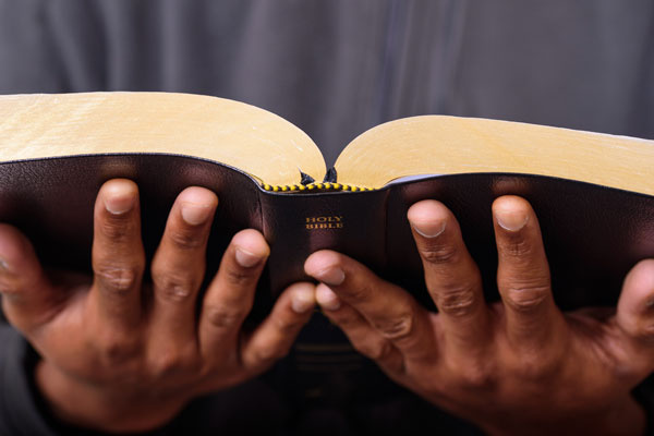 A close Up View of a Man Hands Holding the Holy Bible