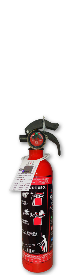 MANTTO. Y RECARGA 
EXT. PQS 0.75 KG.