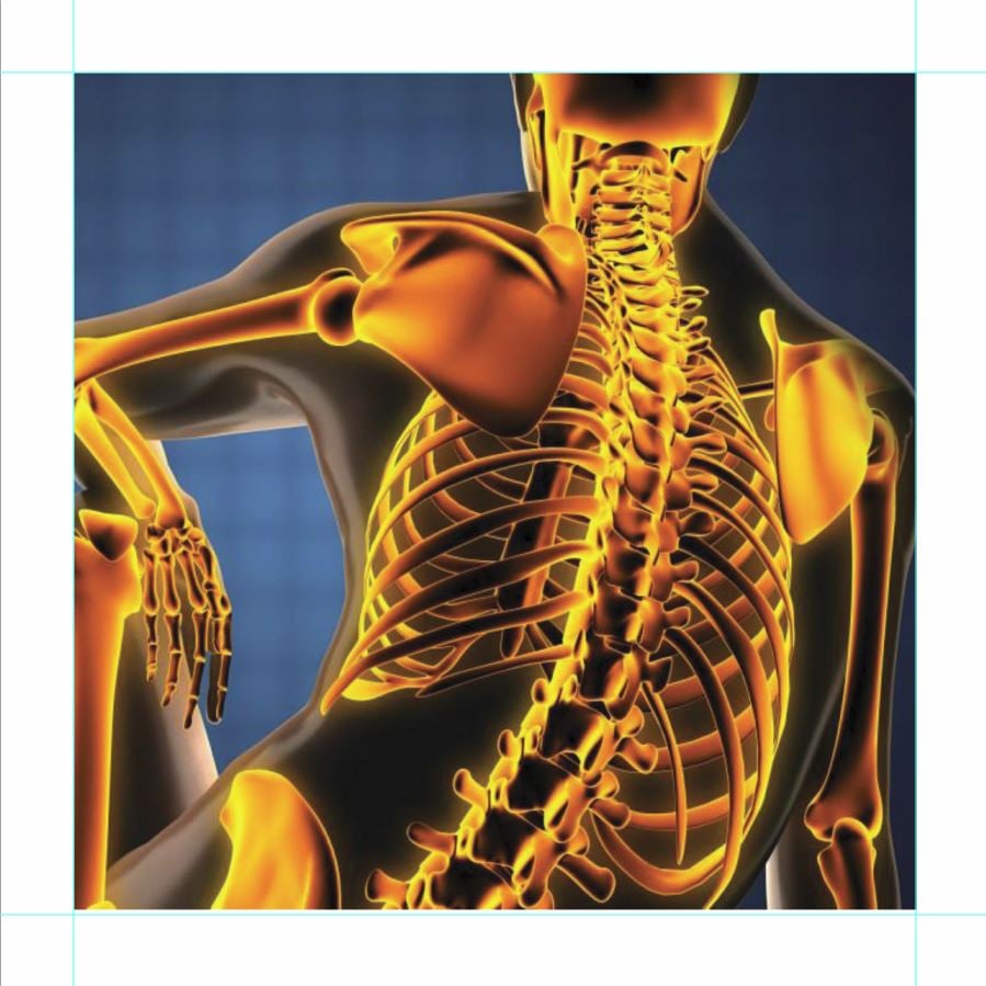 Illustration of human skeletal system highlighting the spine and ribcage in orange. Illustration of human skeletal system highlighting the spine and ribcage in orange.
