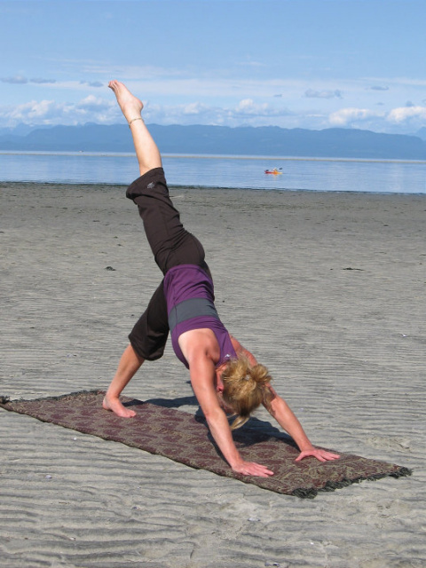 Ecca Pada Adho Mukha Svanasana - One Foot Downward Facing Dog Pose