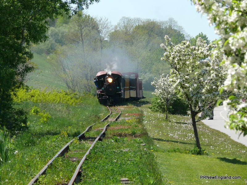 Narrow Gauge Railroad