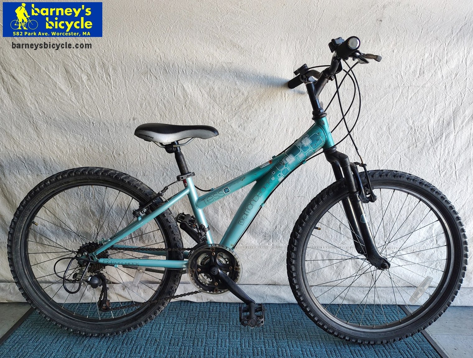 Diamondback Tess 24
Wheel Size: 24"/ Ages 9-12 / Speeds: 21spd
Price: $189.00 (Professionally Tuned)