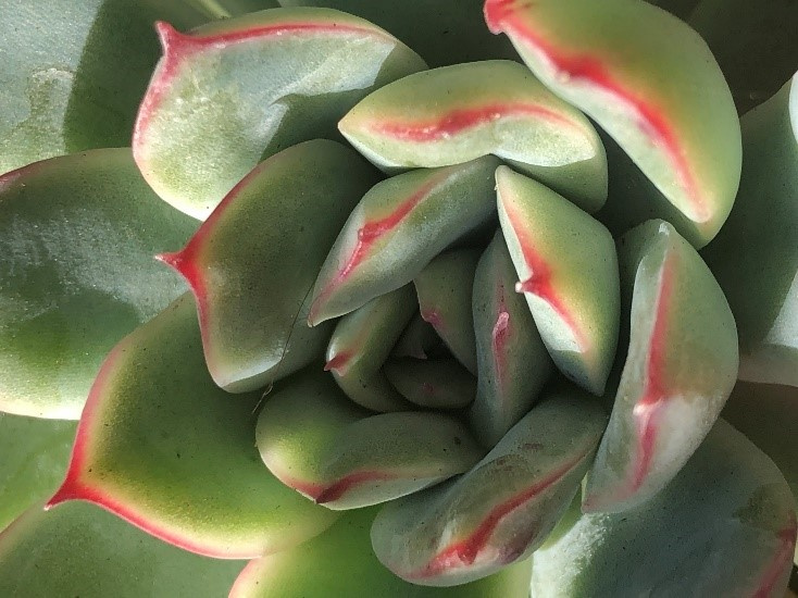 https://0201.nccdn.net/1_2/000/000/10c/b85/15-734x550.jpg