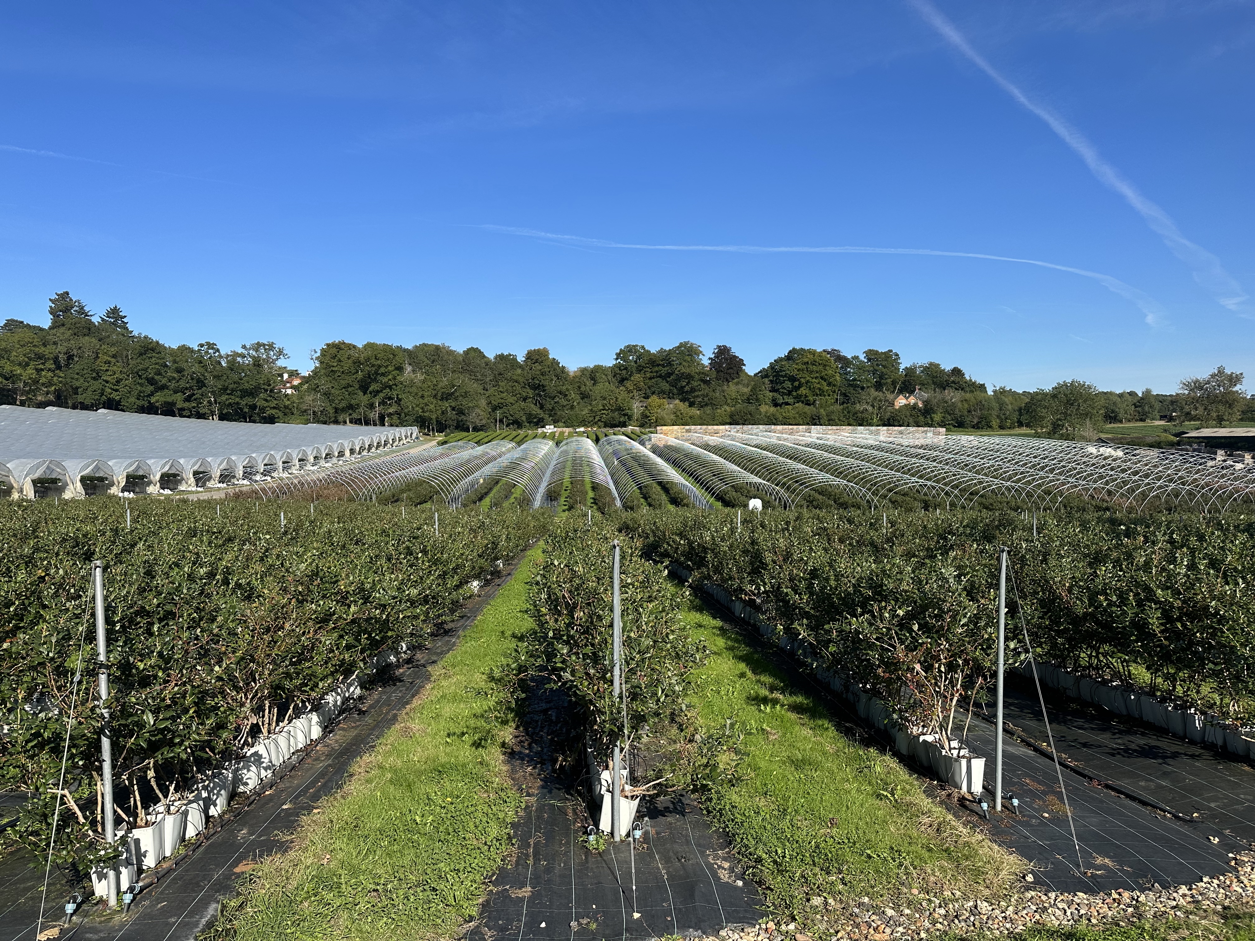 (##AI##(Background.image2.alt)##AI##)