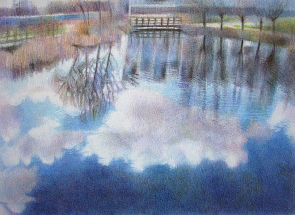 Ecology Park Pond Series #10