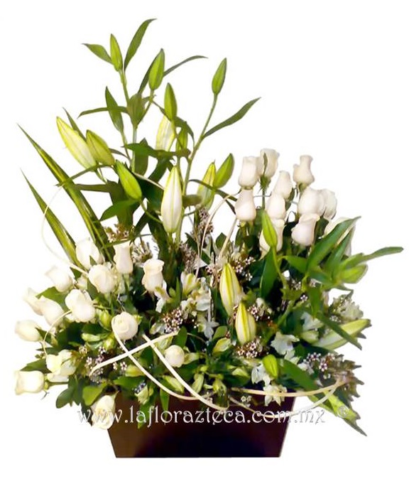 LFA-W001
Precio $1,7645