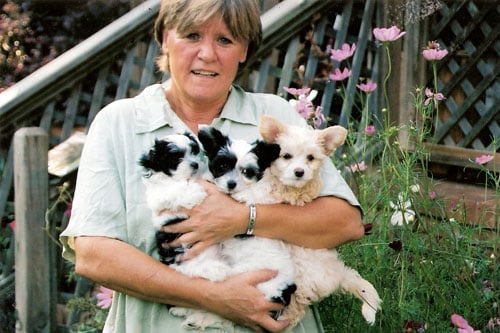 My Third Generation Puppies