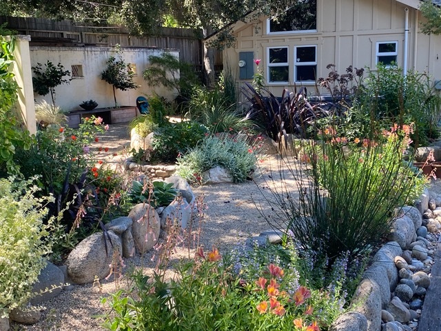 Lesley’s Own Garden 2