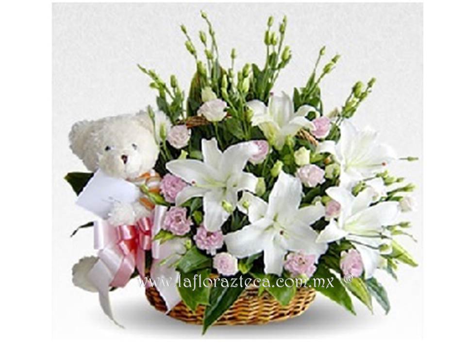 LFA-607
Precio $1,050