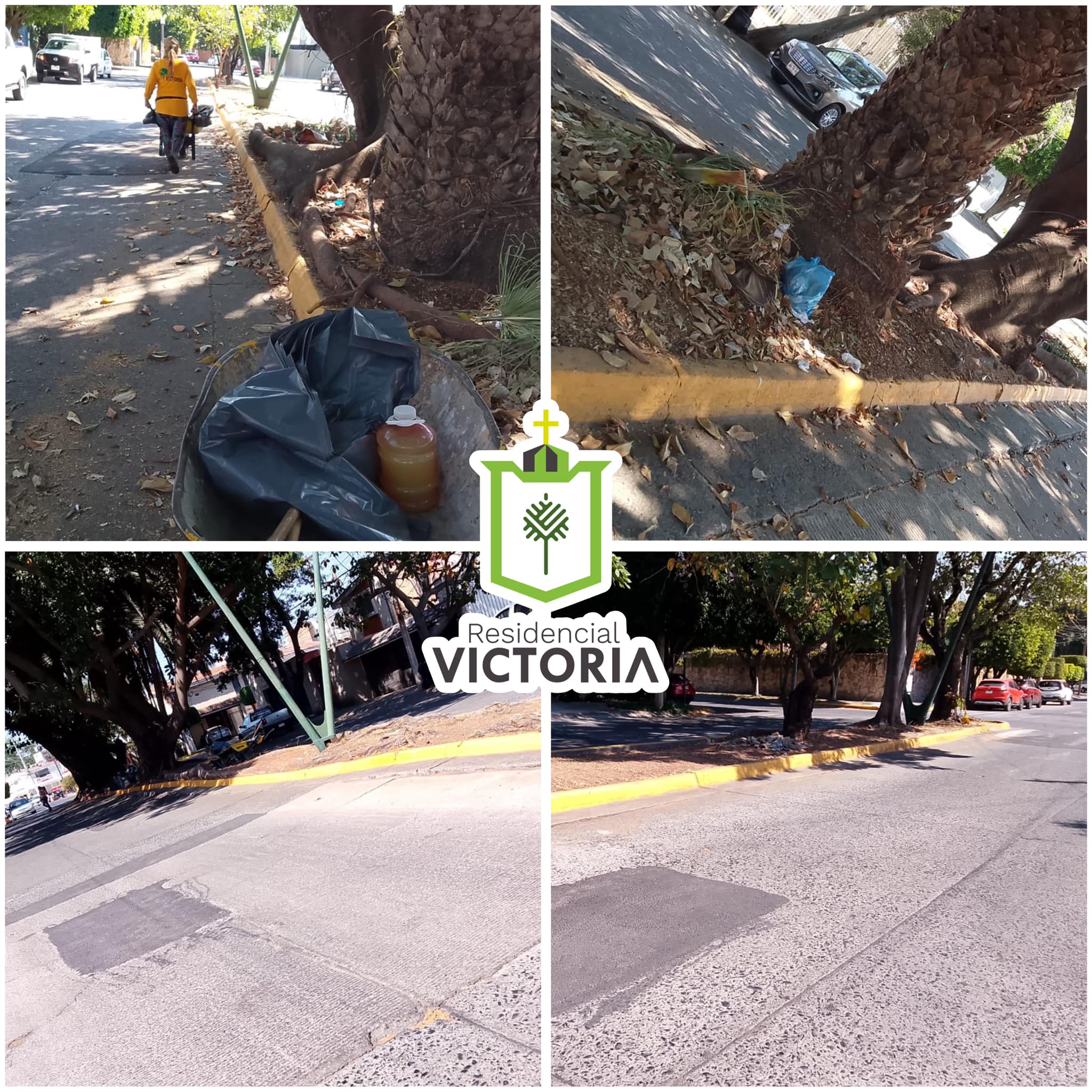 Collage mostrando limpieza de calles en Residencial Victoria, con barrendero y contenedor de basura junto a palmas en un vecindario arbolado.