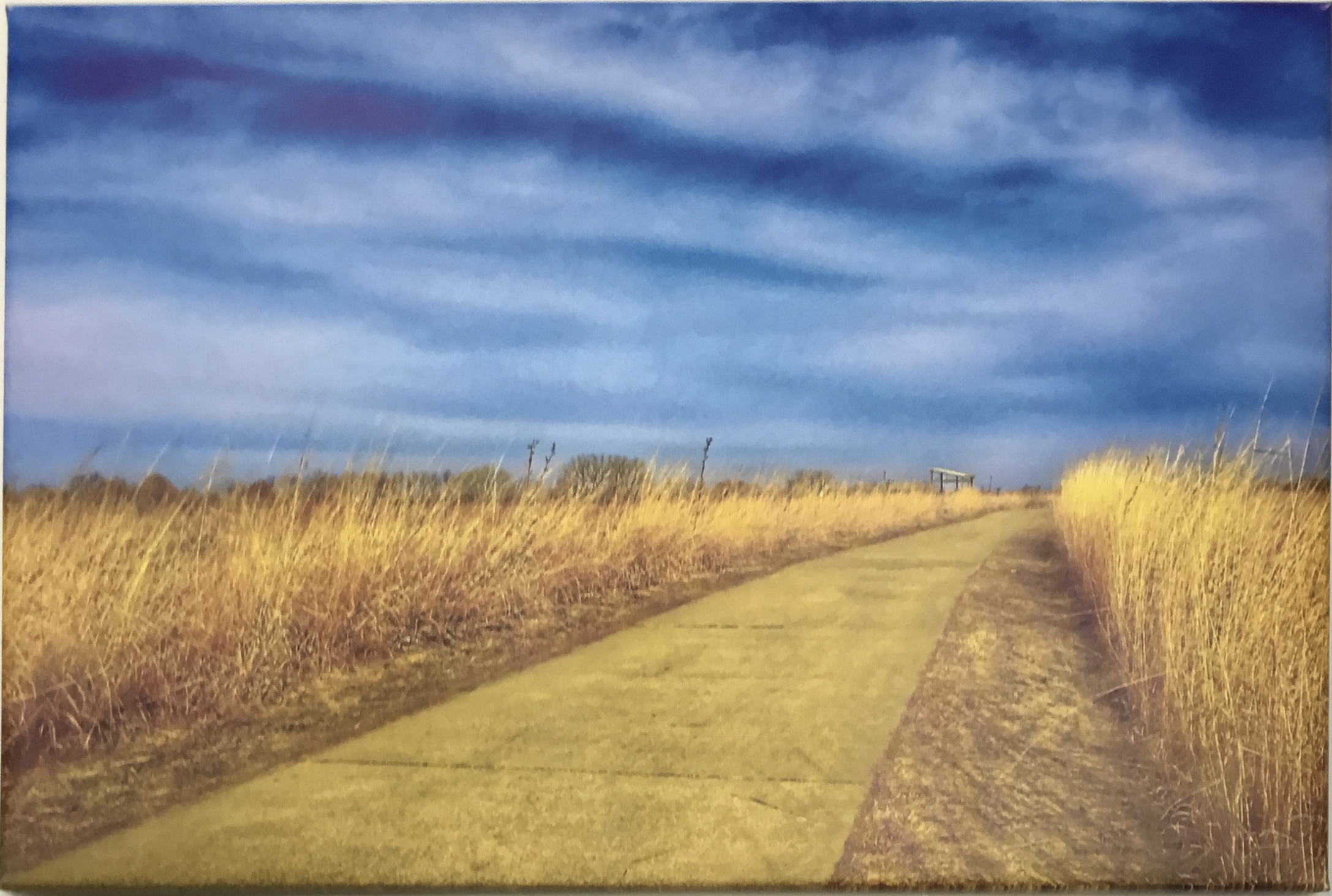 Meadowbrook Trail
Photography on Canvas
24" X 18"
$195.