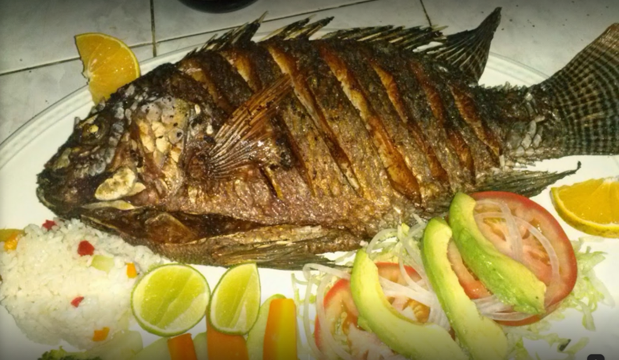 https://0201.nccdn.net/1_2/000/000/10d/ce2/mojarra.png