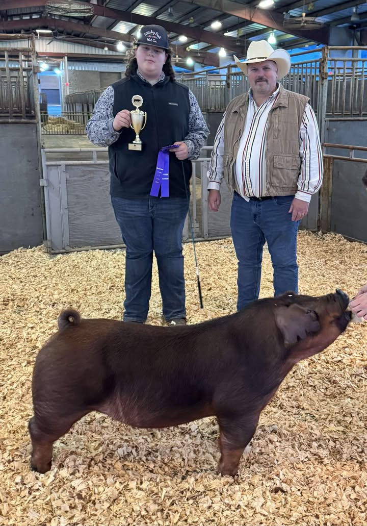 Holden Shuler
2025 Rutherford County Show
Grand Champion Overall Gilt