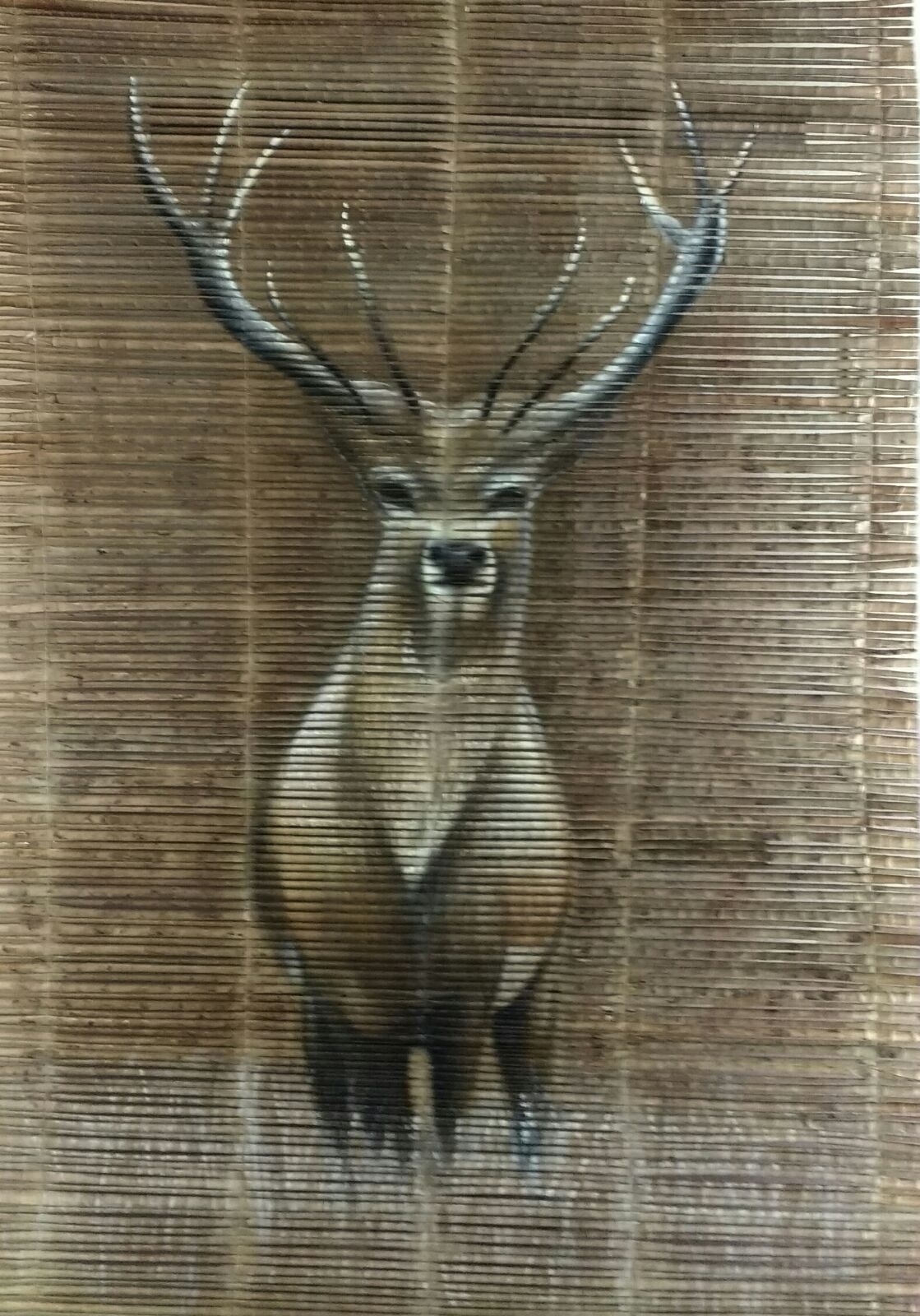 https://0201.nccdn.net/1_2/000/000/10d/edb/Persiana-de-vara--Venado-1119x1600.jpg