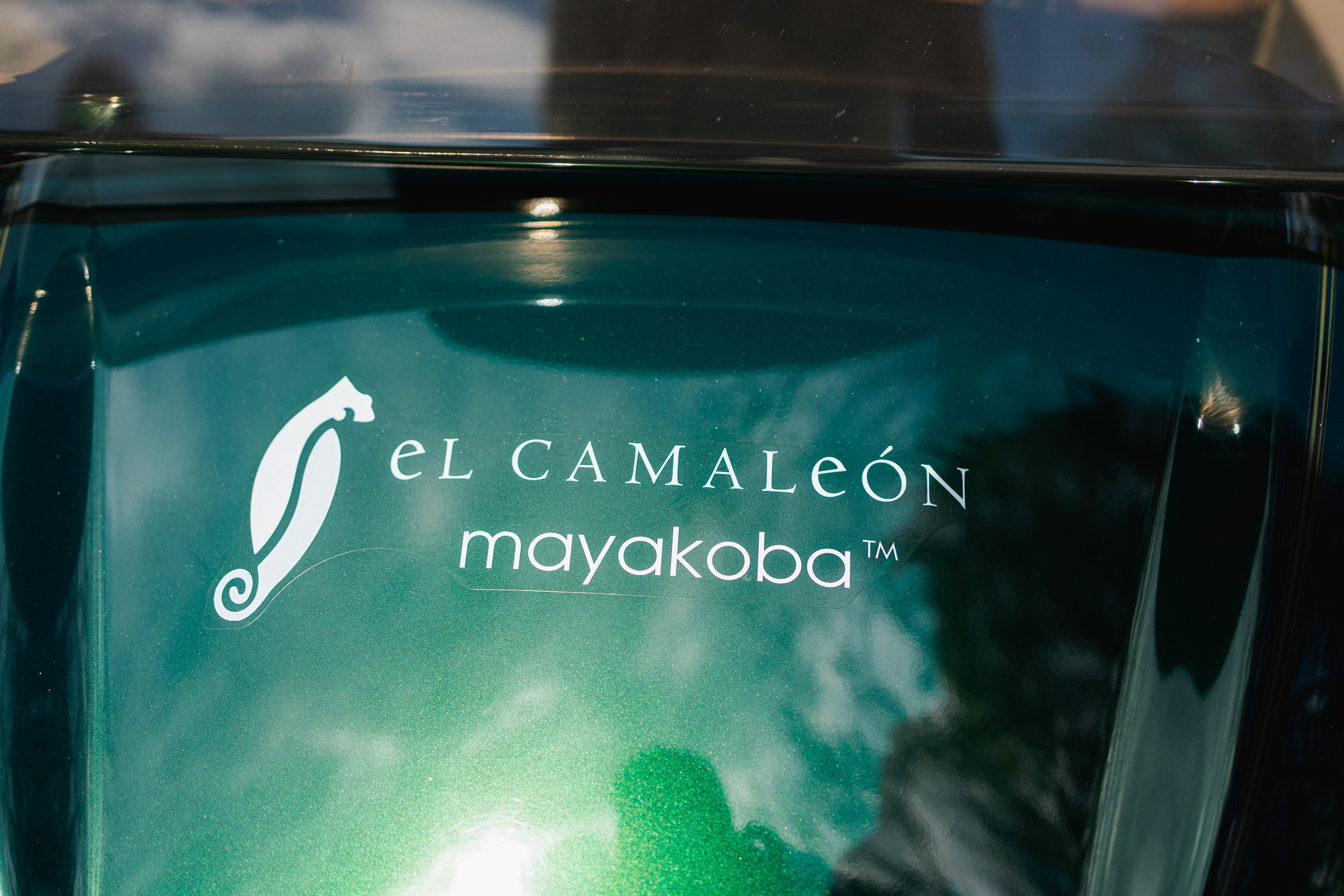 https://0201.nccdn.net/1_2/000/000/10d/f31/camaleon_glof_blog_2.jpg