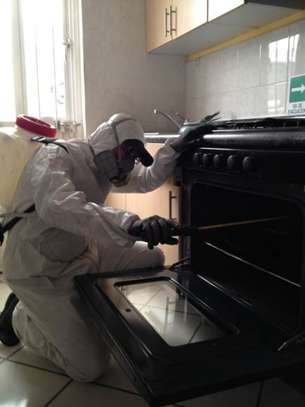 La solución perfecta