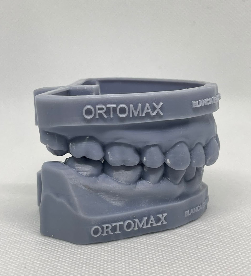 3D-printed dental model in gray color labeled Ortomax with realistic teeth on a white background