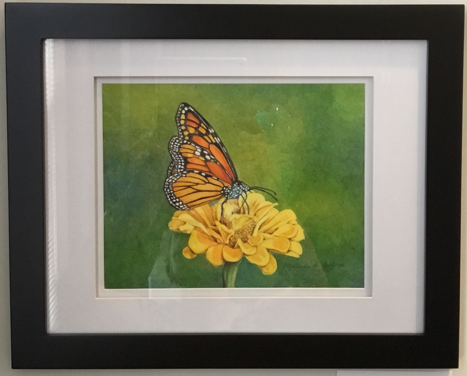 Monarch on Yellow Flower
Watercolor
8"x10"
$275.
