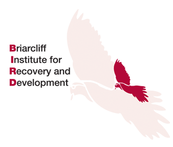 Briarcliff Institute for Recovery and Development in Briarcliff Manor, NY are a small, private agency of expert clinicians.